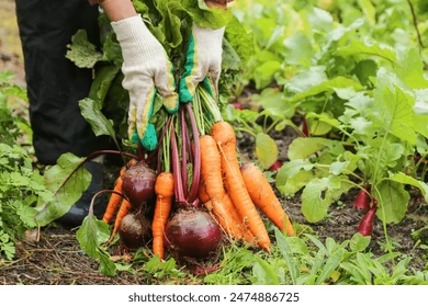 Healthy Harvests